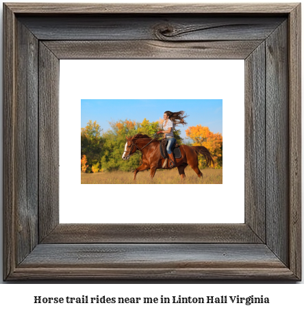 horse trail rides near me in Linton Hall, Virginia